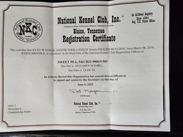 Nkc registration 